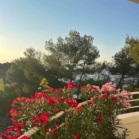 Phare D'agay - Zeezicht - 50 Meter Het Appartement *